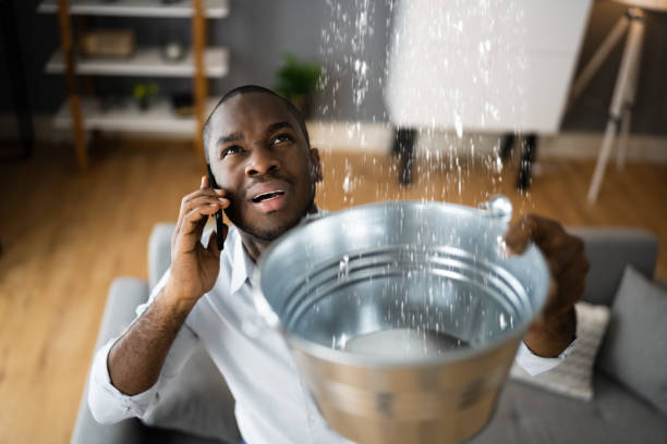 Best Carpet water damage restoration  in Port Norris, NJ