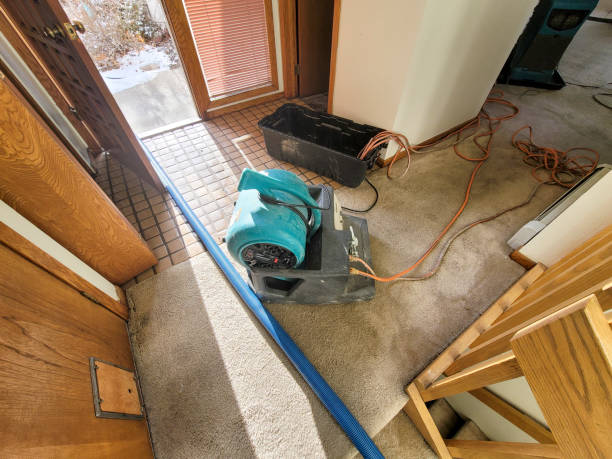 Best Water damage mitigation services  in Port Norris, NJ