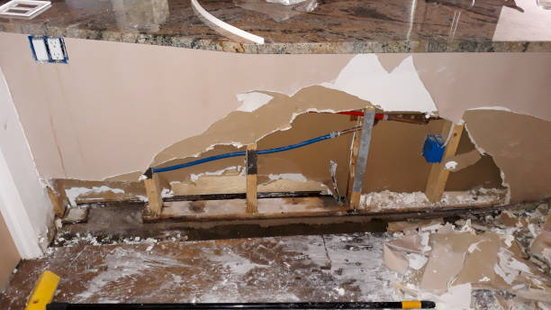 Best Basement water damage restoration  in Port Norris, NJ
