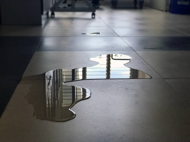 Best Commercial water damage restoration  in Port Norris, NJ