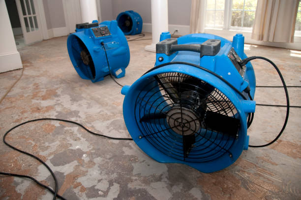 Best Water damage cleanup near me  in Port Norris, NJ