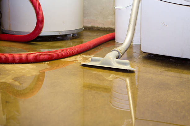 Best Residential water damage restoration  in Port Norris, NJ