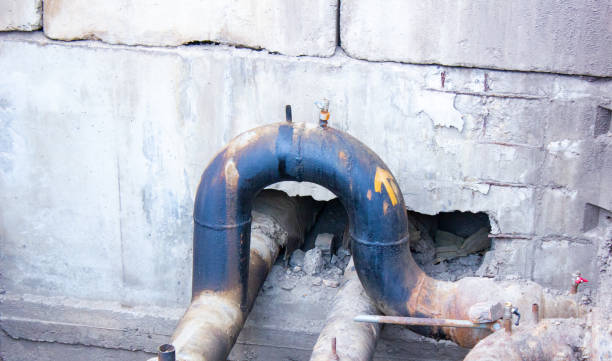 Best Water damage contractors near me  in Port Norris, NJ