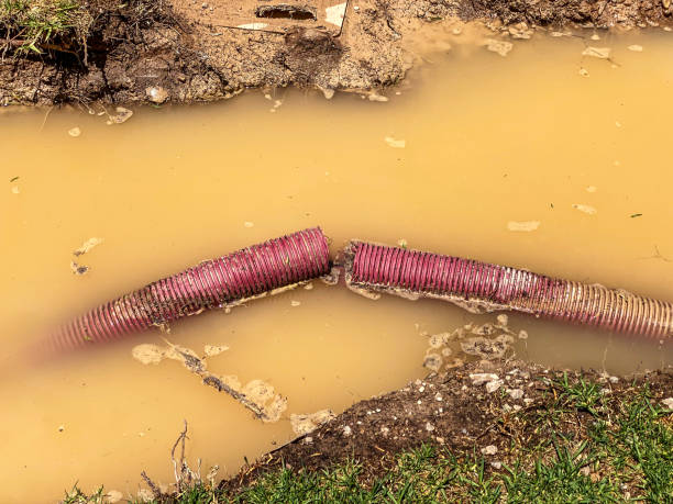 Best Water damage restoration services  in Port Norris, NJ